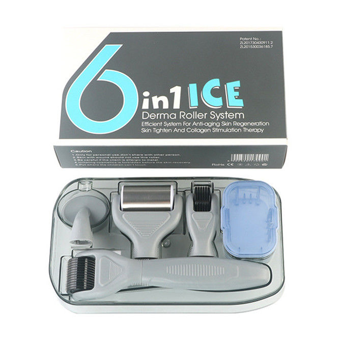 Profissional de PC Médico Mão Desmontável ICE Derma Roller 6 em 1 para o Rejuvenescimento da Pele