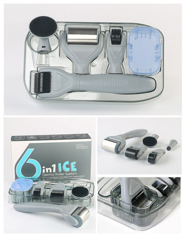 Profissional de PC Médico Mão Desmontável ICE Derma Roller 6 em 1 para o Rejuvenescimento da Pele