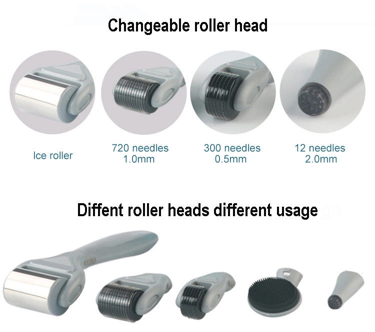 Profissional de PC Médico Mão Desmontável ICE Derma Roller 6 em 1 para o Rejuvenescimento da Pele
