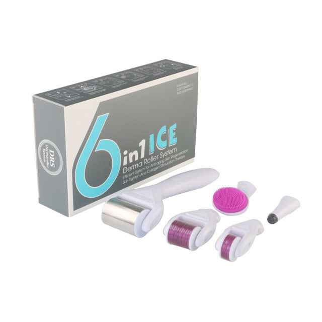 6 em 1 Kit Derma Roller com gelo Roller Frigorante da pele Derma Facial Beauty