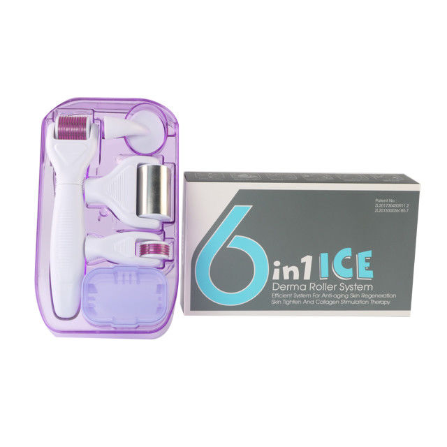 6 em 1 Kit Derma Roller com gelo Roller Frigorante da pele Derma Facial Beauty