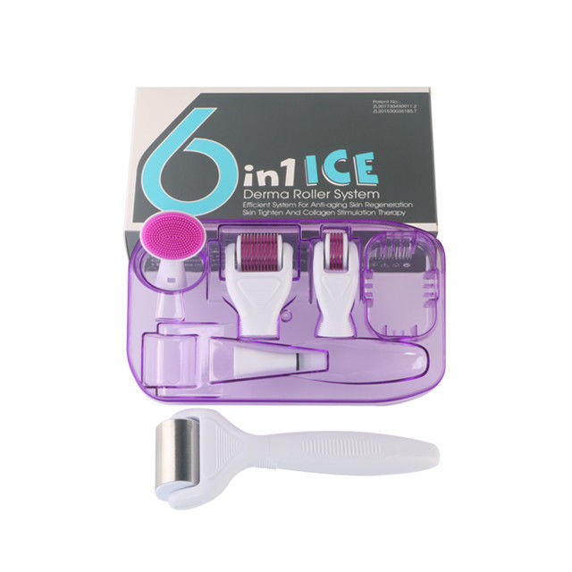 6 em 1 Kit Derma Roller com gelo Roller Frigorante da pele Derma Facial Beauty