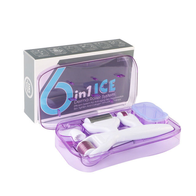 6 em 1 Kit Derma Roller com gelo Roller Frigorante da pele Derma Facial Beauty