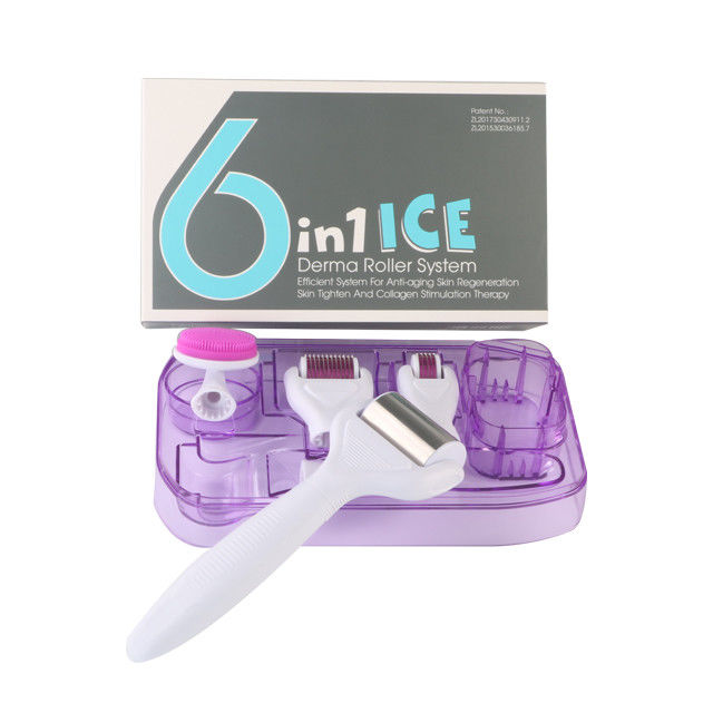 6 em 1 Kit Derma Roller com gelo Roller Frigorante da pele Derma Facial Beauty